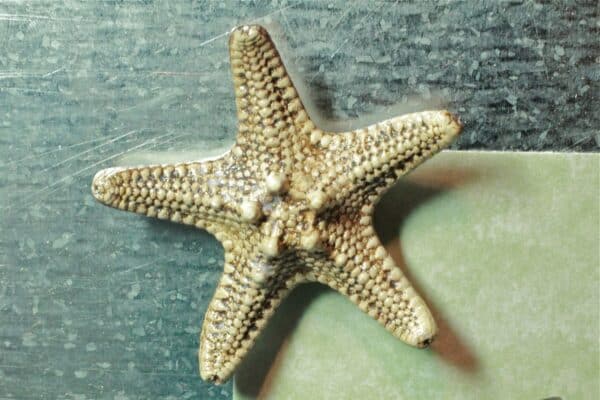 2078830bb9149cb91e2b939308ddd90a