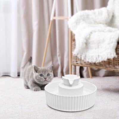 26 020 250 07 1024x1024@2x