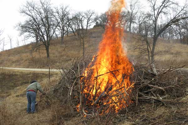how to burn brush pile
