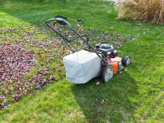 cutting and bagging grass and leaves in the fall 599962438 398daab5383643cda69cc3204fb1962f