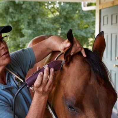 dana boyd miller andis 1