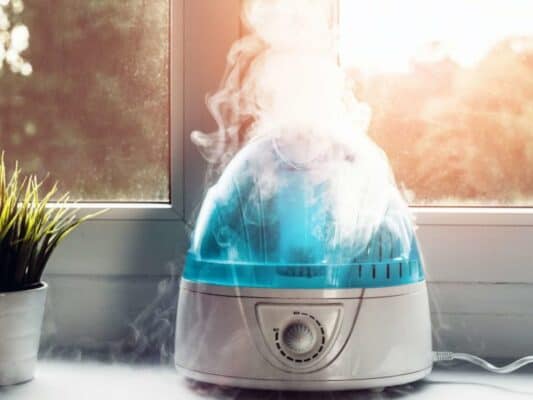 relyon humidifier