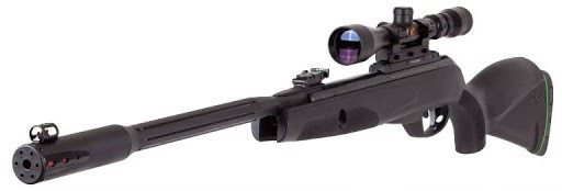 Best Air Rifle For Squirrels And Rabbits