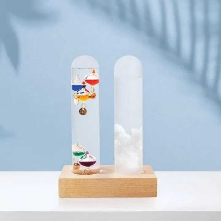 Galileo Thermometer And Storm Glass