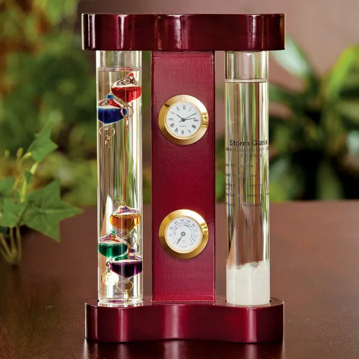Galileo Thermometer And Storm Glass