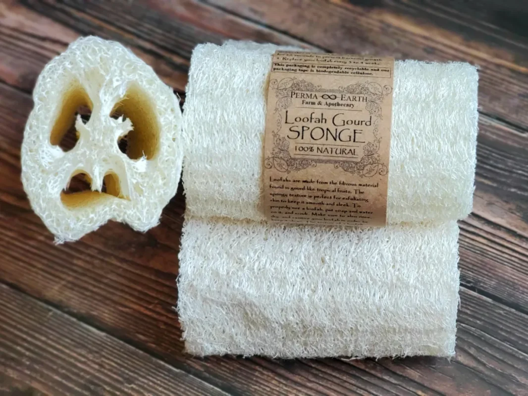 Travel Loofah Case
