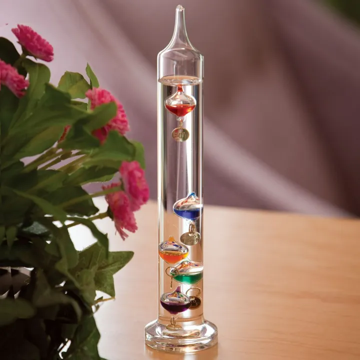Galileo Thermometer And Storm Glass