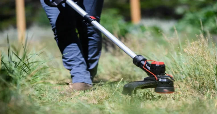best weed eater head
