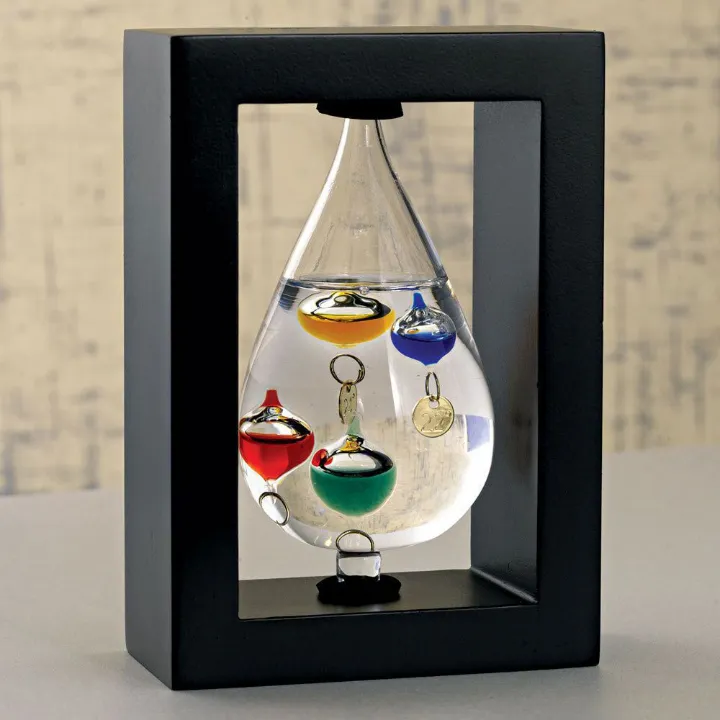 Galileo Thermometer And Storm Glass