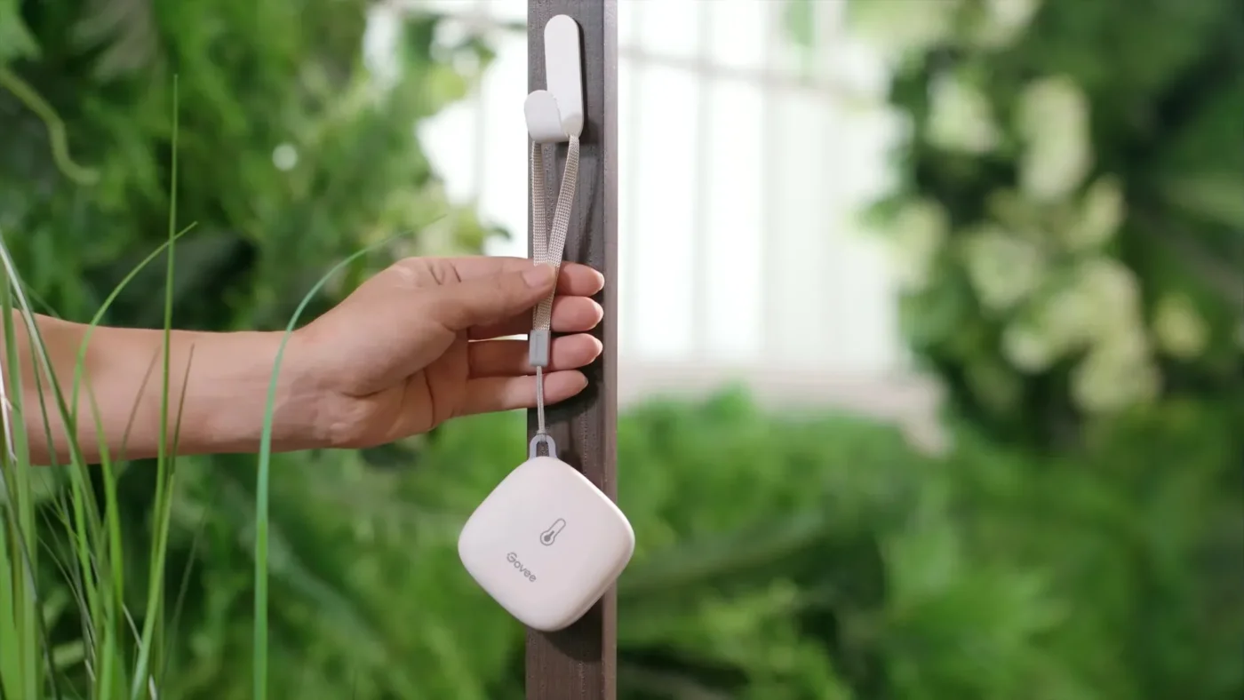 Govee Thermometer Wifi