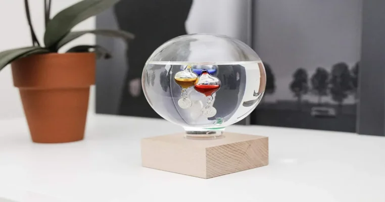 Galileo Thermometer And Storm Glass