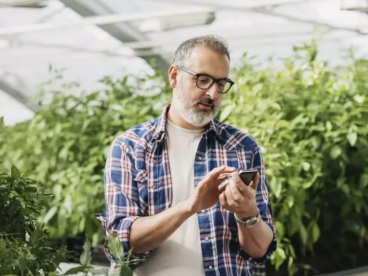 greenhouse thermometer with app