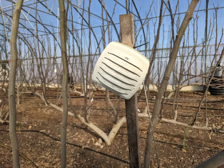 greenhouse thermometer with app