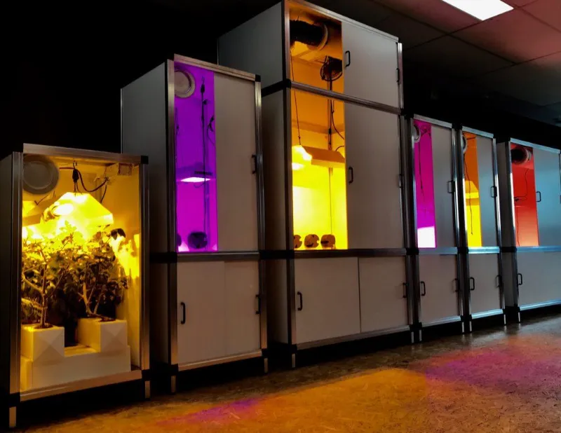 Best Stealth Grow Box