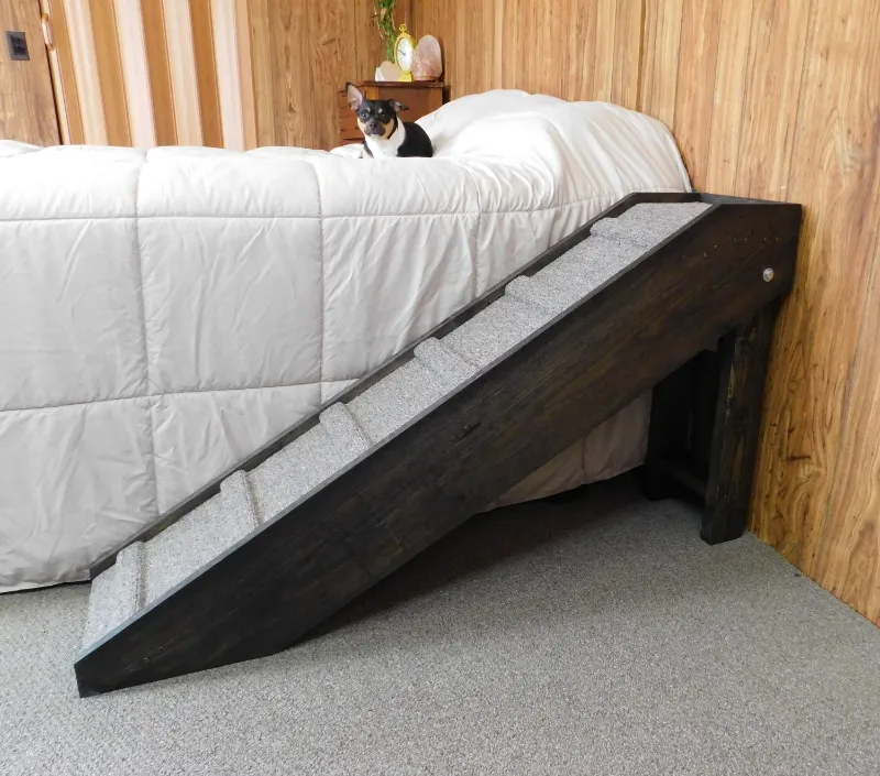 Best Dog Ramp For Bed