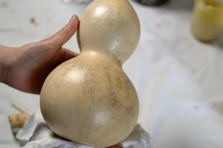 can you dry bottle gourds