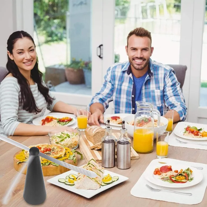 Best Fly Fans For Tables