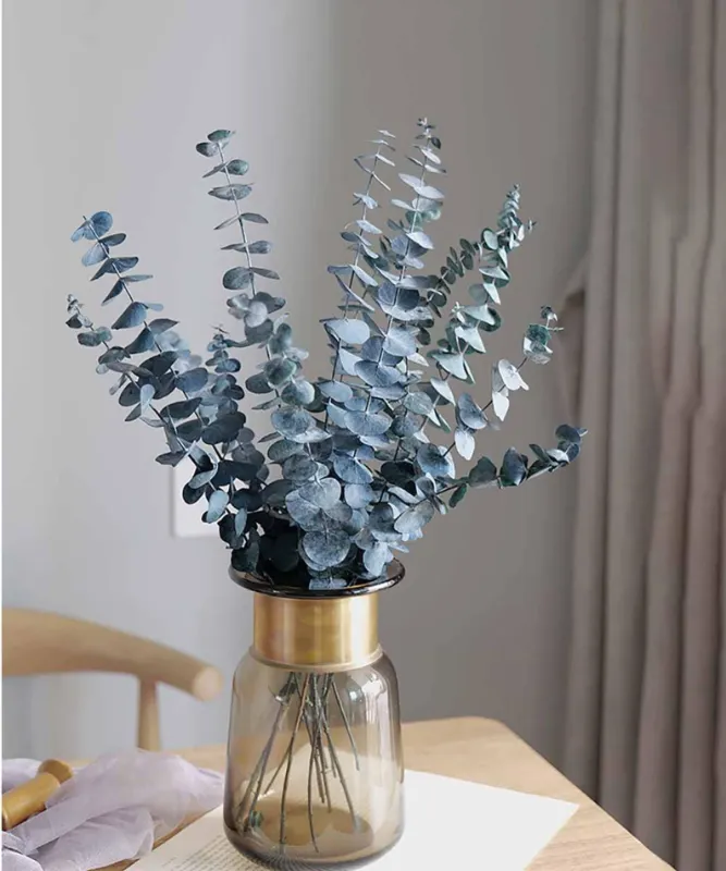 Fluffy Dried Pampas Grass